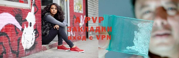 spice Вязники