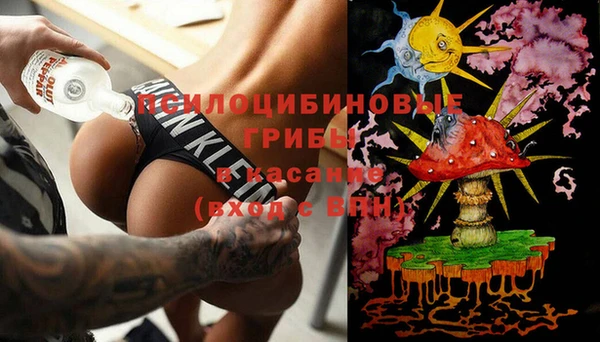 ПСИЛОЦИБИНОВЫЕ ГРИБЫ Волоколамск