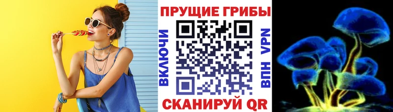 наркота  omg как войти  Псилоцибиновые грибы Psilocybe  Егорьевск 